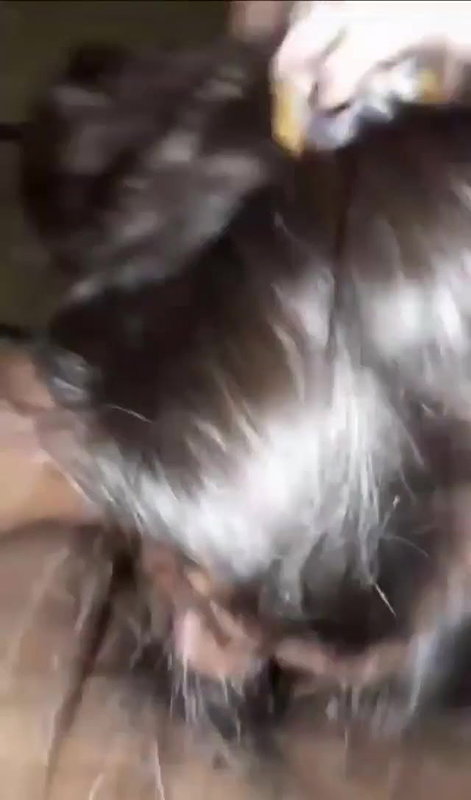 Srilankan virgin girl blowjob to boyfriend dick viral MMS