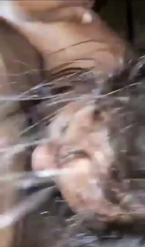 Srilankan virgin girl blowjob to boyfriend dick viral MMS