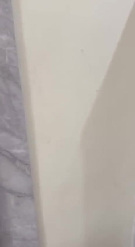 Punjabi girl outdoor sex and indoor blowjob act