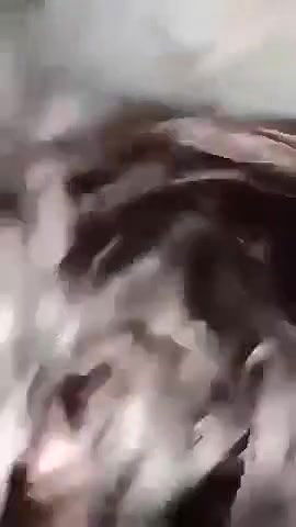 Beautiful bhabhi had great time with boyfriend