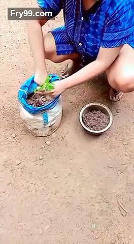 planting plants daily work desi aunty cleaning