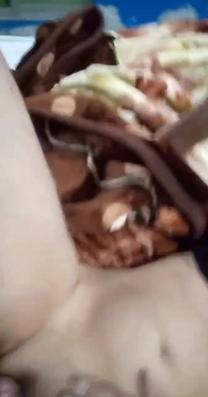 Beautiful Wife Bj And Fucking With Moaning