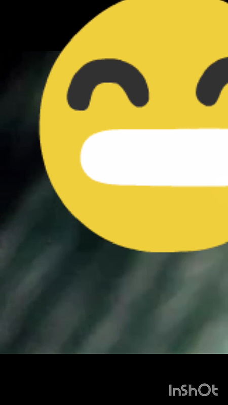 InShot 20251201 101312688