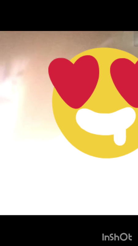 InShot 20251201 101312688