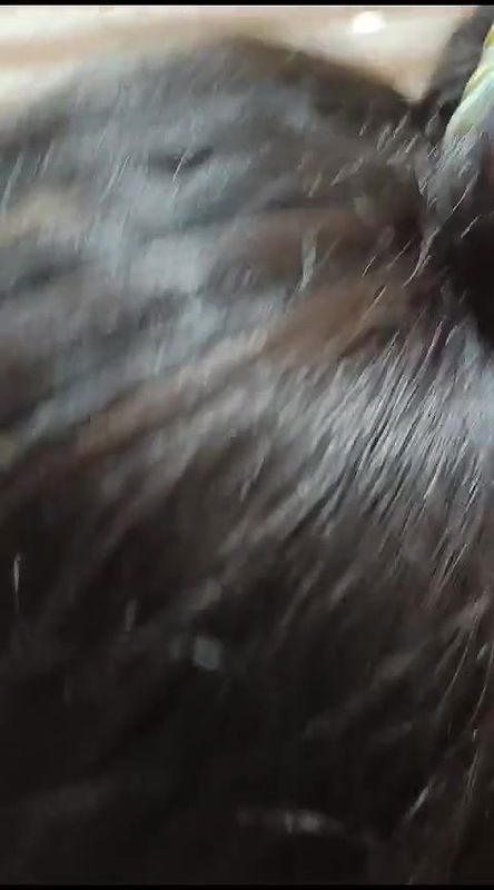 Beautiful Busty milf seems expert in giving blowjob