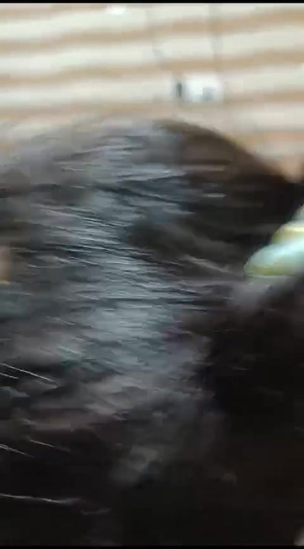 Beautiful Busty milf seems expert in giving blowjob