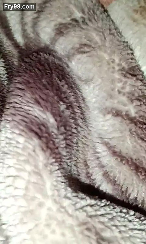 Didi ki choot se paani nikala.