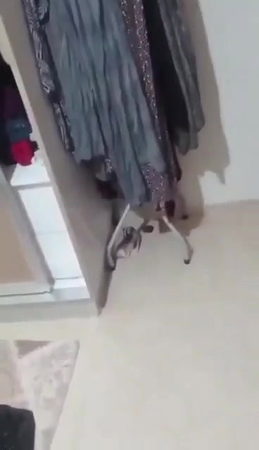 Paki Aunty K Gorey Mummay