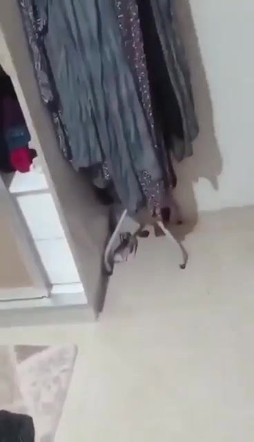 Paki Aunty K Gorey Mummay