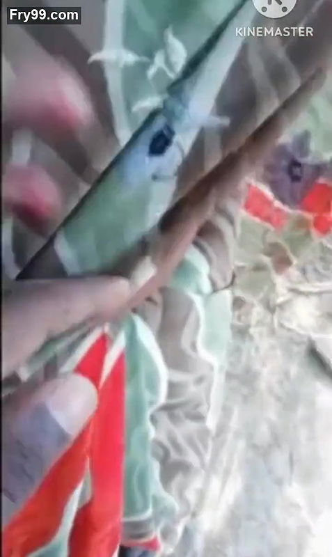 Full Hindi audio outdoor mms video