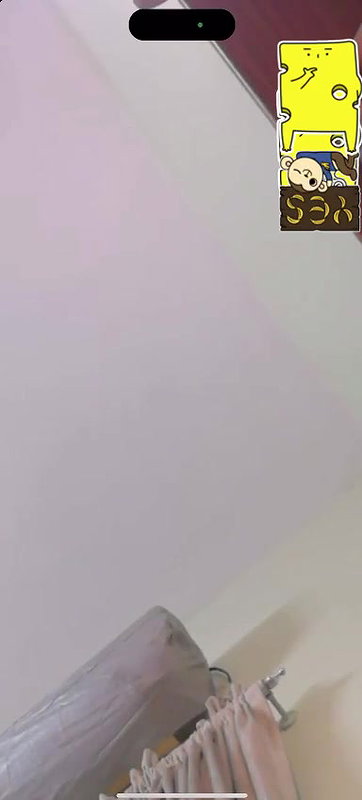 Pakistani Babe Boobs Showing in VC Wid BF 1