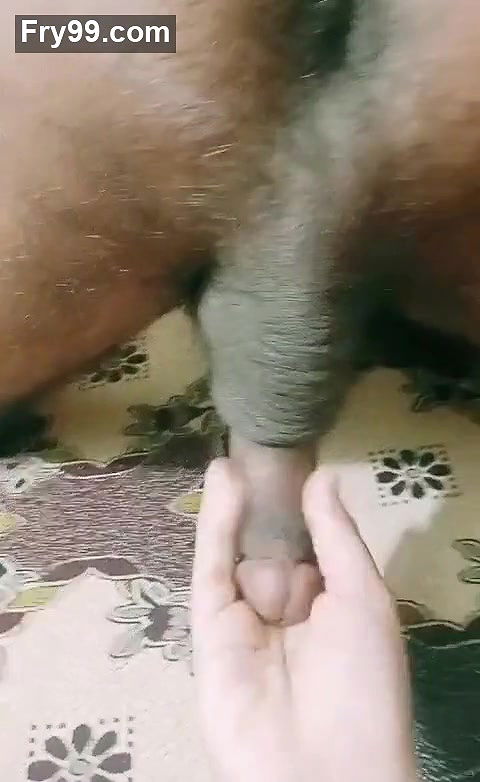 Mera husband gandu nikla, m surprised