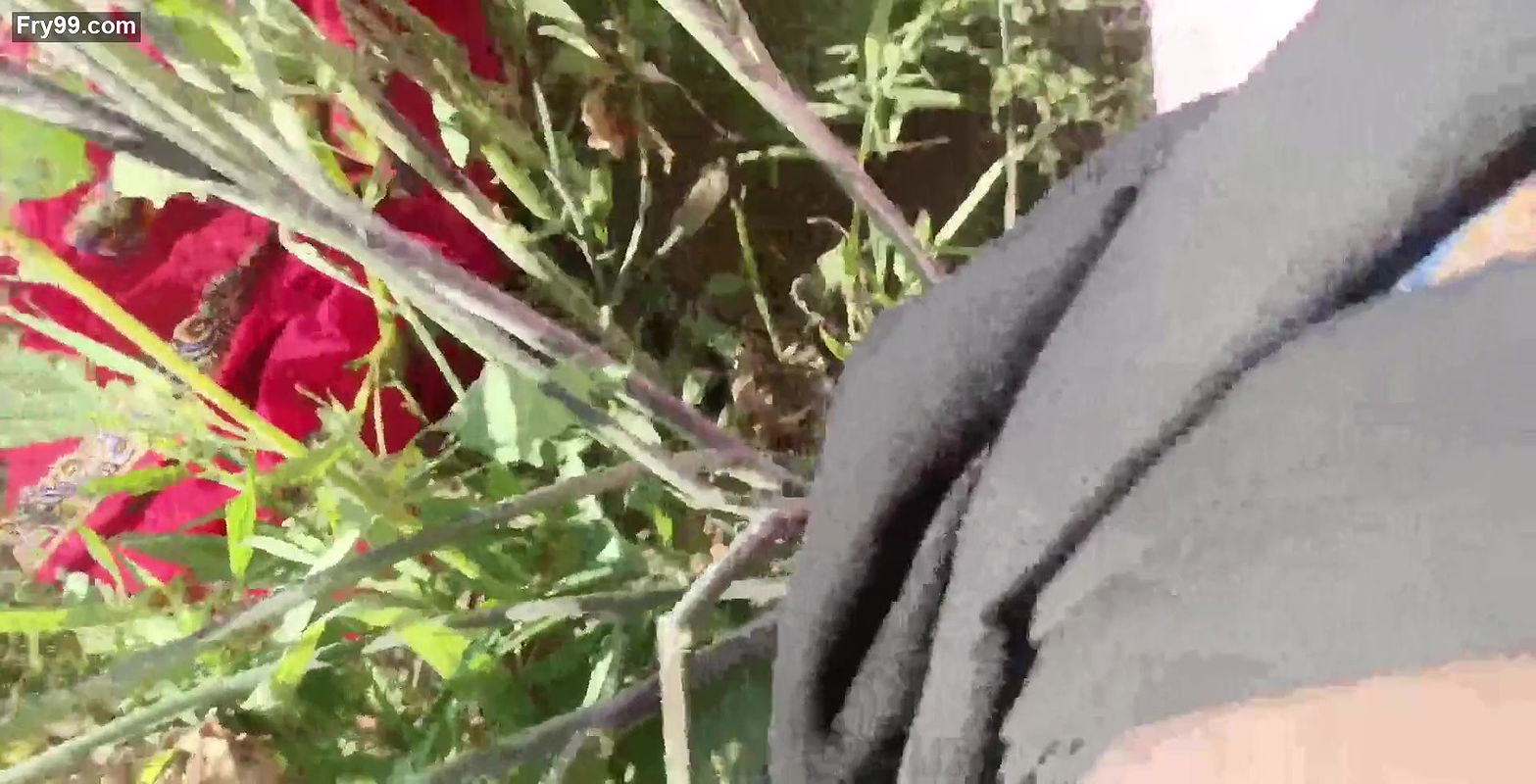 Neha bhabhi ko sarso ke khet me Ghodi banakar chod diya hindi aawaj me