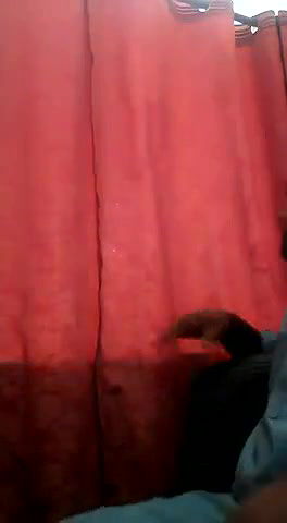 pak couple mms leaked