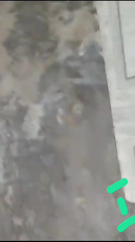 tamil couples affier