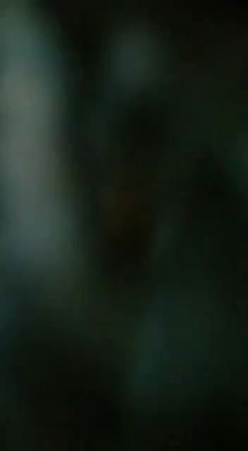 having sex inside car