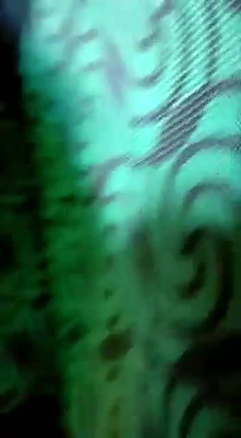 having sex inside car