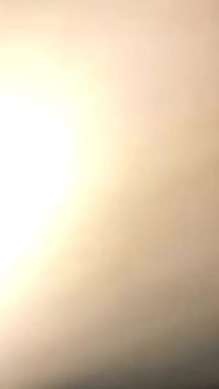 creampied by bbc bull