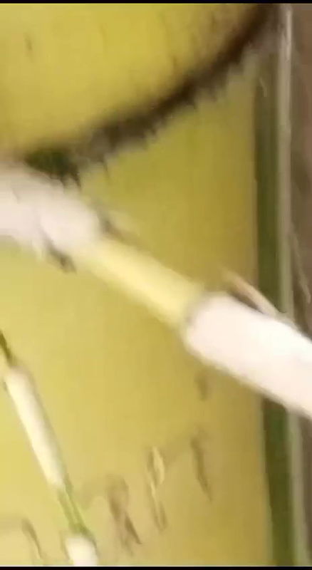 outdoor bj video recorded secretly