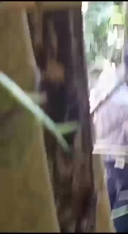 outdoor bj video recorded secretly