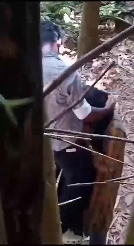 outdoor bj video recorded secretly