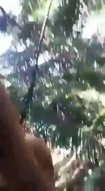 i 640p 20251215 174613