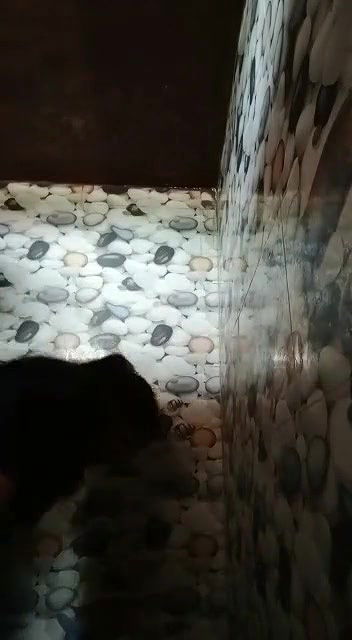 guy having sex with mature bhabhi