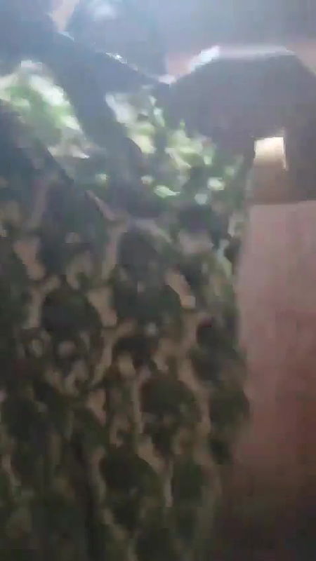 i 850p 20251216 171014