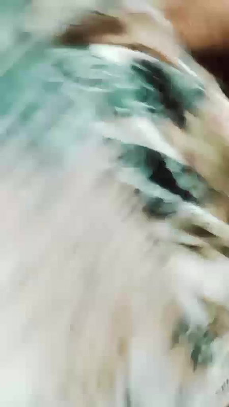 5 6222092819335485770