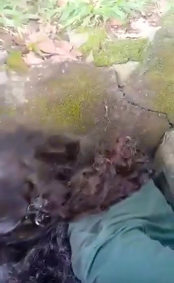 Sinhala (lanken) girl outdoor blowjob and ass show
