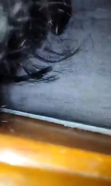 devar bhabhi sex