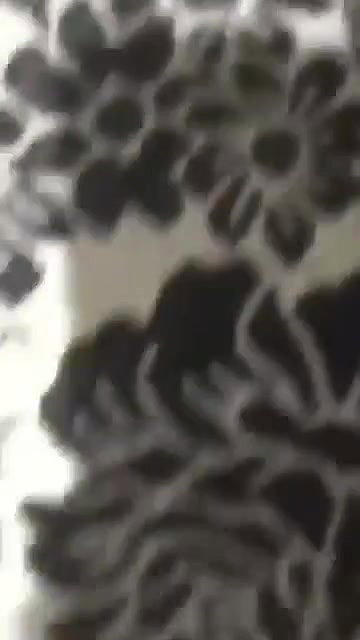 i 2 640p 20251219 151002