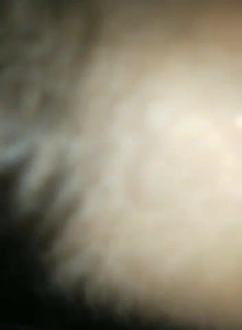 hairy pussy girl fucked
