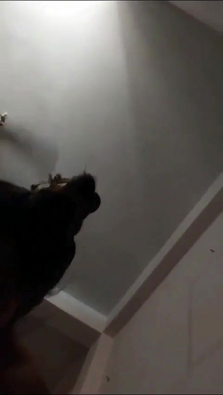 VID 20251220 130022 239