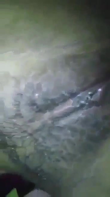 Beautiful Village Girl Showing Cute Boobs and Choot