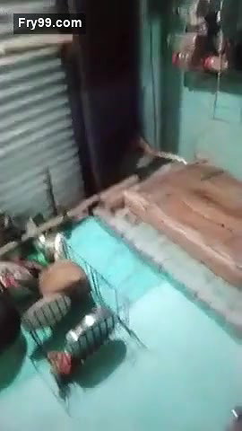 Desi village bhabi show asn pussy on live