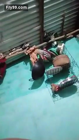 Desi village bhabi show asn pussy on live
