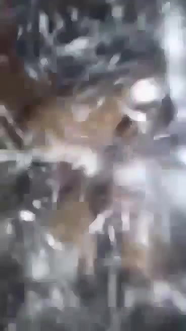 riding dick