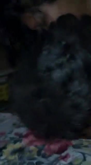 cute aunty sex with young boy