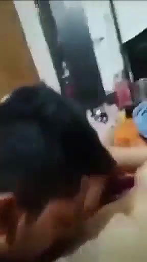 cute youngsters pussy licking