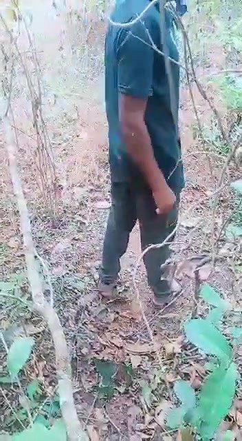jungle mein le jake bhabhi ko choda
