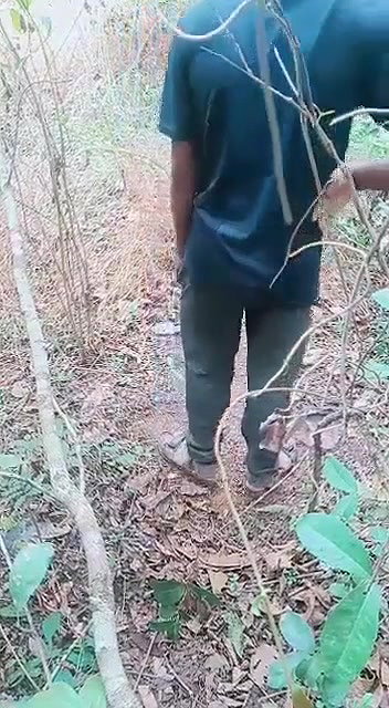 jungle mein le jake bhabhi ko choda