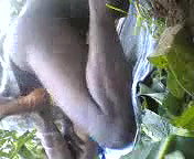 khet me chudai