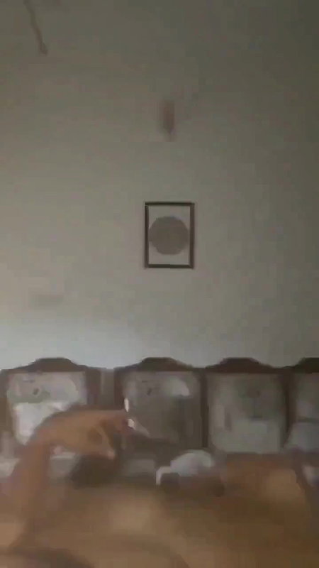 pussy sucking of maid