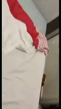 sex with hairy pussy chubby bhabhi