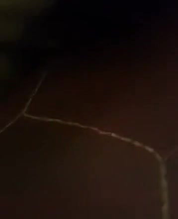 chasmish hairy pussy girl fucked