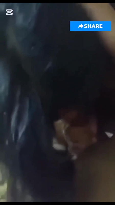 romentic lovers sex mms