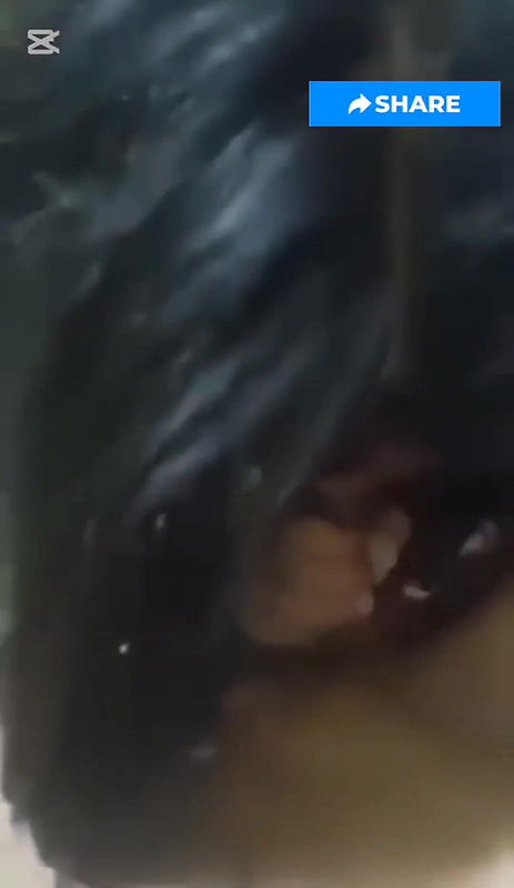 Bengali Couple Tiktoker 2