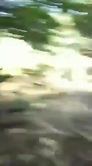 tribal girl riding bf in jungle