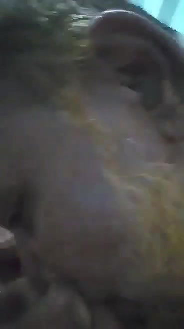 muslim uncle aunty sex mms